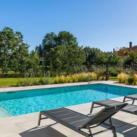 فيلة Celi Valbandon